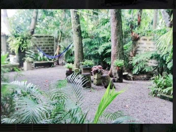 Balay 8 Suites Silay Eksteriør billede